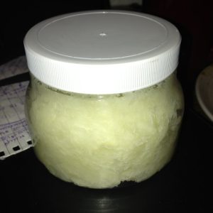 Eucalyptus Salve